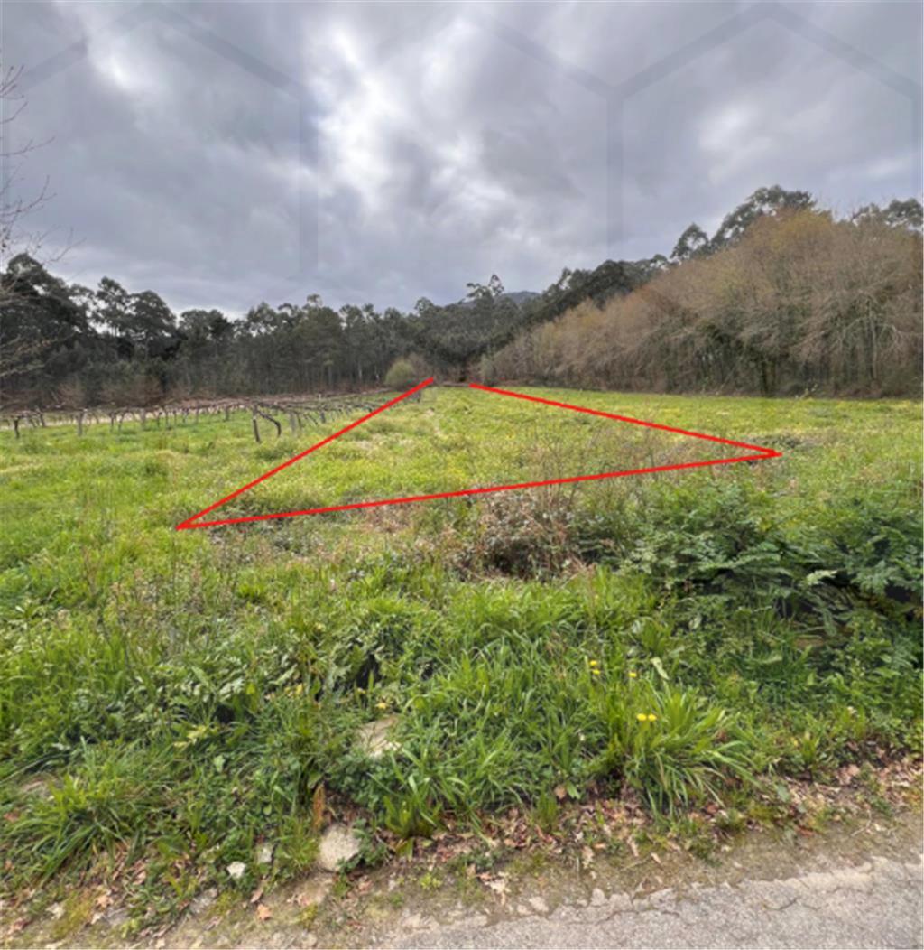Terreno Agrícola em Vila Nova de Cerveira — Vila Nova de Cerveira - foto 3