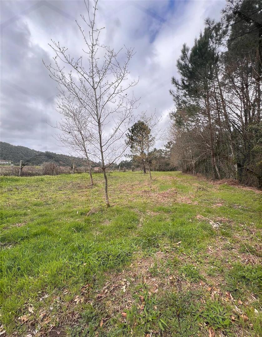 Terreno Agrícola em Vila Nova de Cerveira com 3.762m² — Vila Nova de Cerveira - foto 4