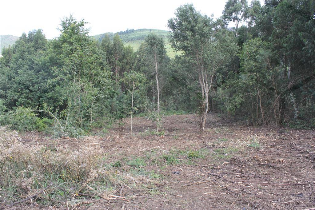 Terreno para construção — Monção, Riba de Mouro - foto 4