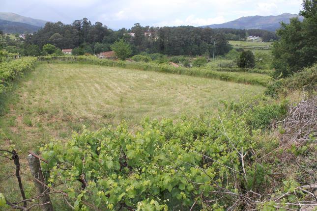 Terreno urbanizável com 4.000 m² e possibilidade de 4 lotes – Melgaço — Melgaço, Vila e Roussas - foto 3
