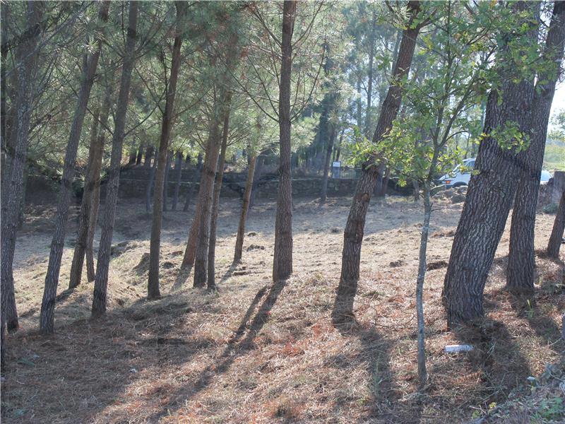 Moradia com dois pisos Mobilado e Terrenos — Melgaço, Cristóval - foto 9