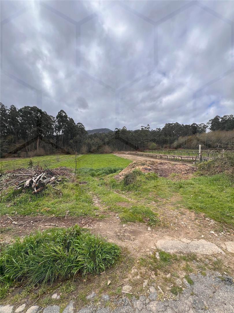 Terreno Agrícola em Vila Nova de Cerveira — Vila Nova de Cerveira - foto 2