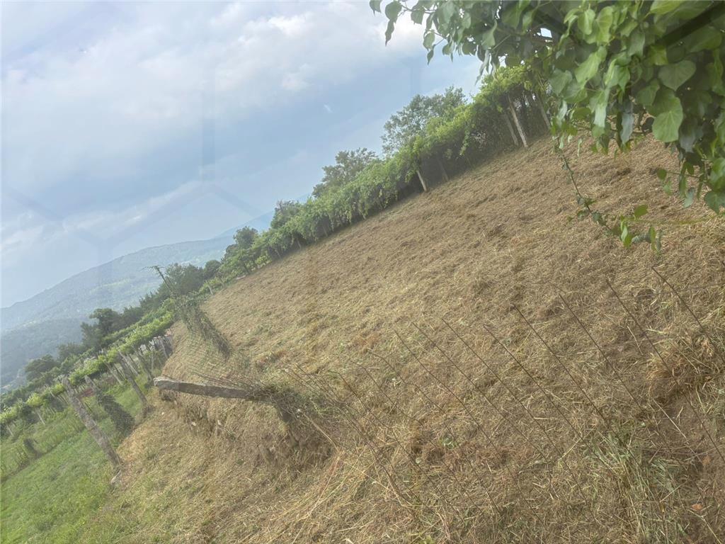 Terreno com aptidão construtiva em Chaviães — Melgaço, Chaviães - foto 2