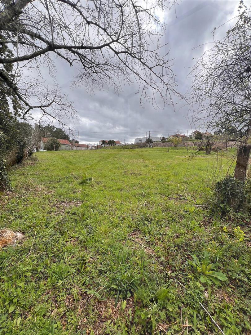 Terreno para construção Vila Nova de Cerveira — Vila Nova de Cerveira - foto 6