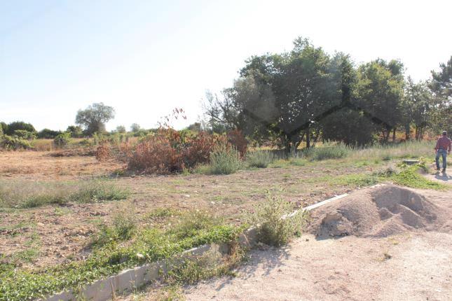 Lotes de terreno para construção — Valença, Friestas - foto 4