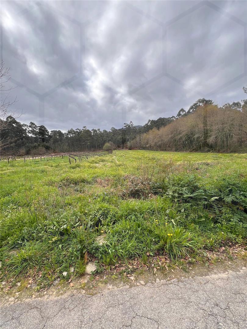 Terreno Agrícola em Vila Nova de Cerveira — Vila Nova de Cerveira - foto 2